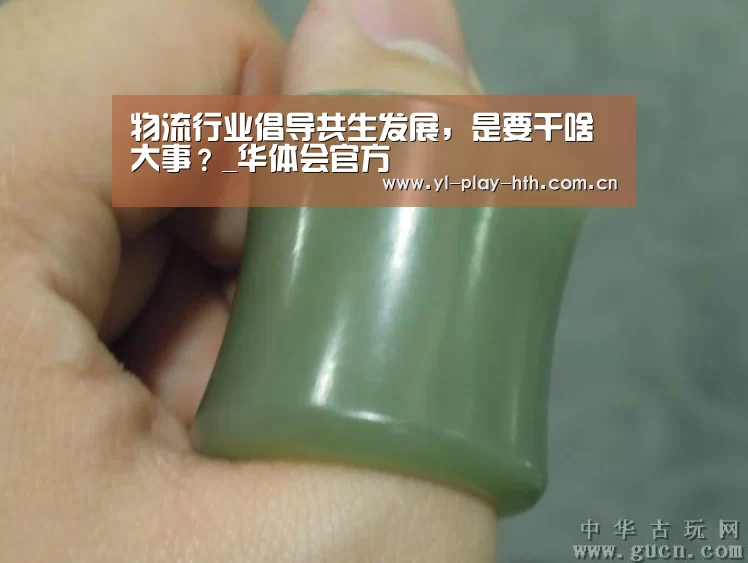 物流行业倡导共生发展,是要干啥大事?_华体会官方(图2) 华体会登录
