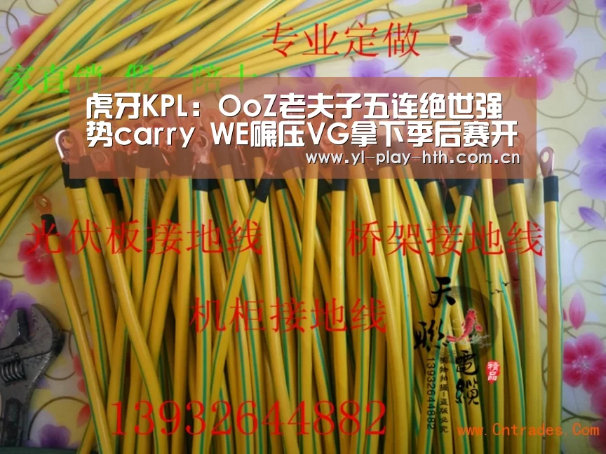 虎牙KPL:OoZ老夫子五连绝世强势carry WE碾压VG拿下季后赛开门红“华体会官方”(图1) 华体会官网