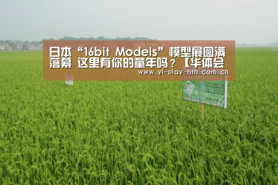 日本“16bit Models”模型展圆满落幕 这里有你的童年吗?【华体会】(图1) 华体会官方