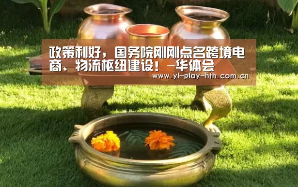 政策利好,国务院刚刚点名跨境电商、物流枢纽建设!-华体会(图1) 华体会