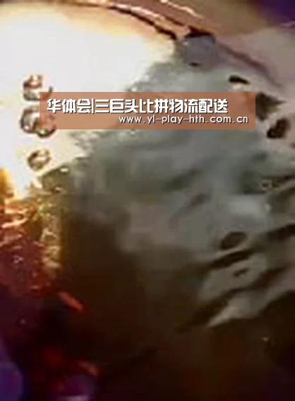 华体会登录