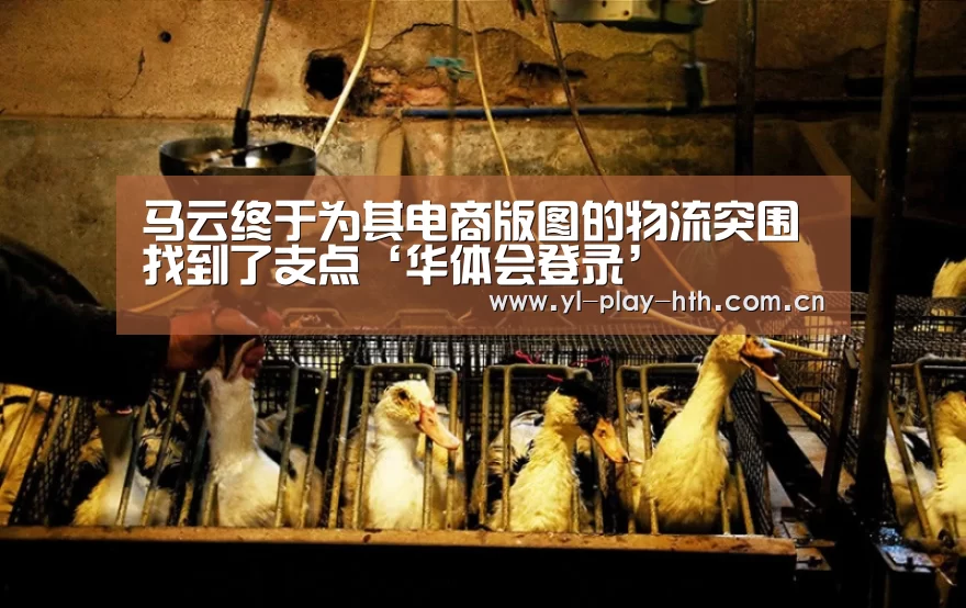 马云终于为其电商版图的物流突围找到了支点‘华体会登录’(图2) 华体会官网