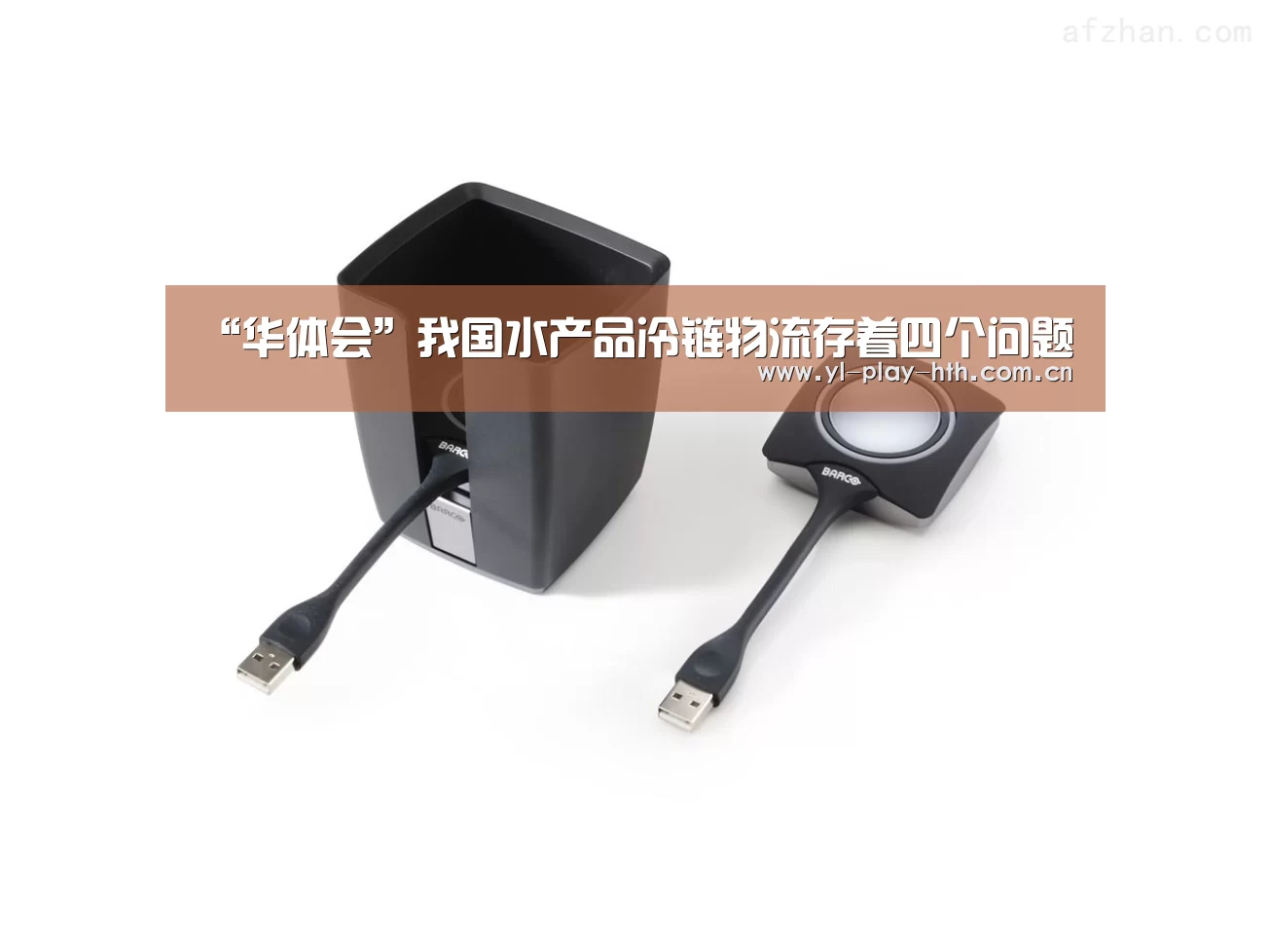 “华体会”我国水产品冷链物流存着四个问题(图1) 华体会官网
