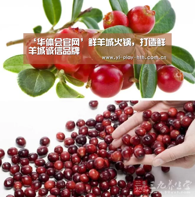 华体会