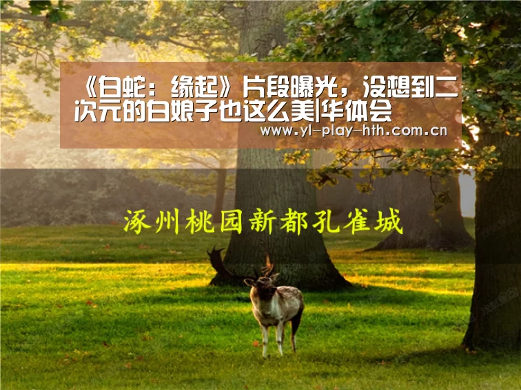 华体会登录