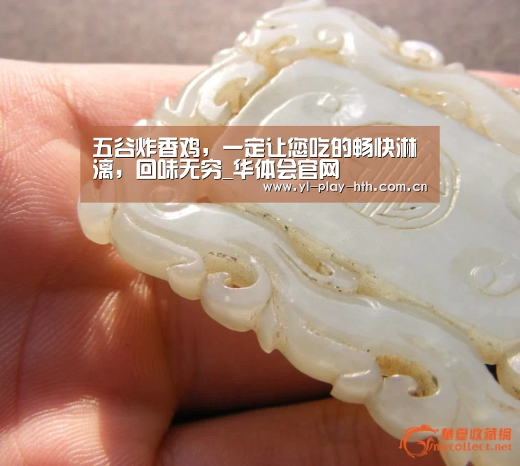 五谷炸香鸡,一定让您吃的畅快淋漓,回味无穷_华体会官网(图3) 华体会