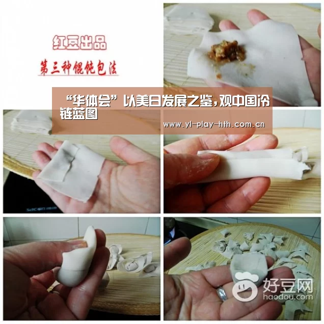 “华体会”以美日发展之鉴,观中国冷链蓝图(图2) 华体会官网